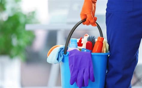 The Financial Benefits of Outsourcing Mascot Cleaning Services